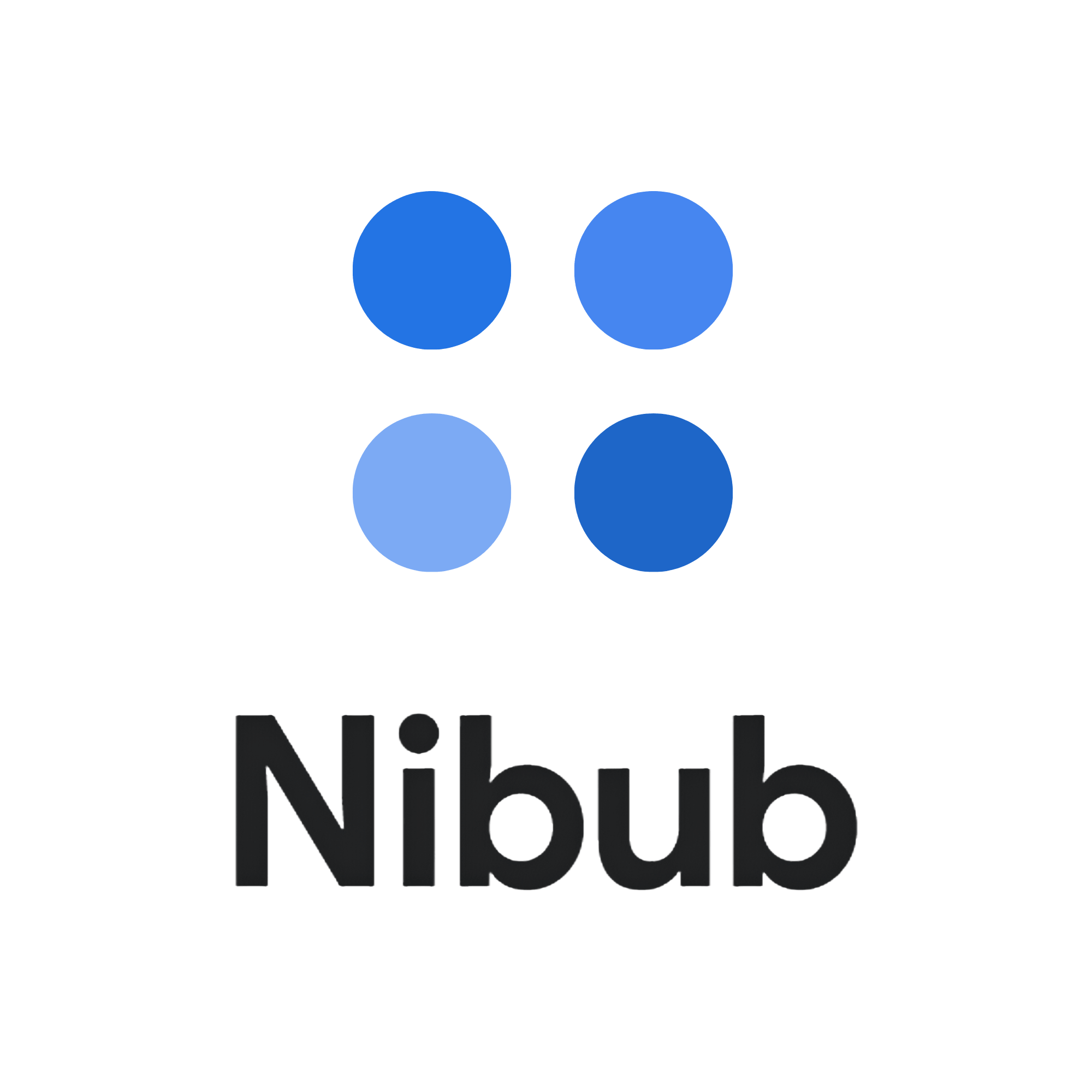 Nibub 1:1 Transp.